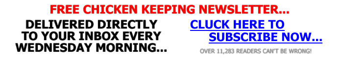 Keeping Chickens