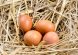 Nutritional Value Of A Free Range Egg VS. Caged Hen Eggs...